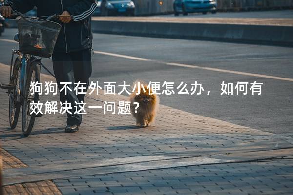 狗狗不在外面大小便怎么办，如何有效解决这一问题？