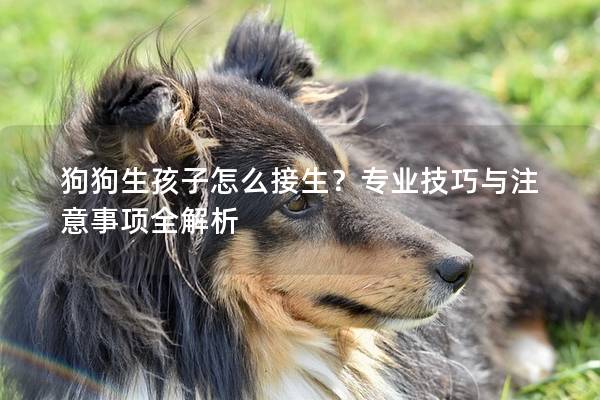 狗狗生孩子怎么接生？专业技巧与注意事项全解析