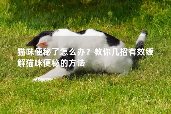 猫咪便秘了怎么办？教你几招有效缓解猫咪便秘的方法