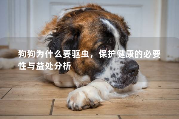 狗狗为什么要驱虫，保护健康的必要性与益处分析