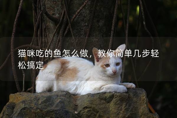 猫咪吃的鱼怎么做，教你简单几步轻松搞定