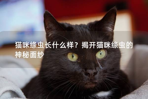 猫咪绦虫长什么样？揭开猫咪绦虫的神秘面纱