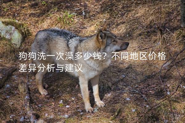 狗狗洗一次澡多少钱？不同地区价格差异分析与建议