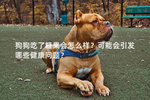 狗狗吃了糖果会怎么样？可能会引发哪些健康问题？