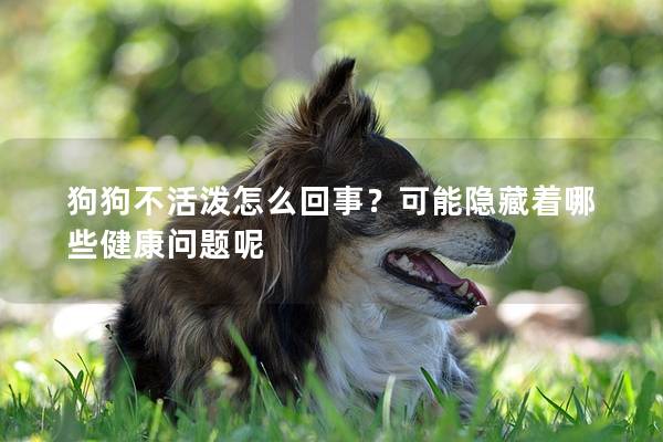 狗狗不活泼怎么回事？可能隐藏着哪些健康问题呢