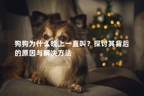 狗狗为什么晚上一直叫？探讨其背后的原因与解决方法