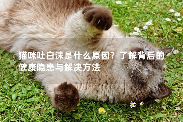 猫咪吐白沫是什么原因？了解背后的健康隐患与解决方法