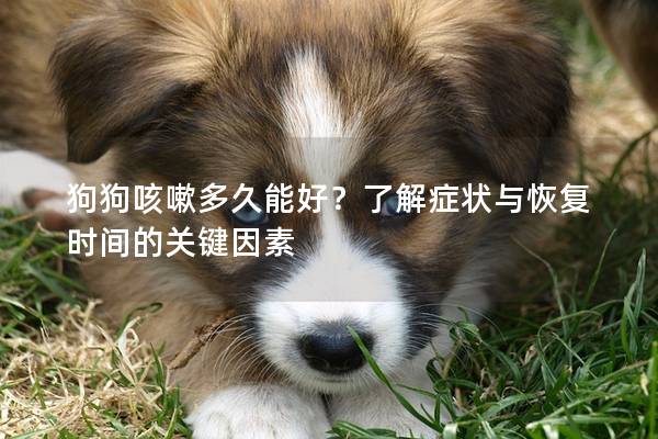 狗狗咳嗽多久能好？了解症状与恢复时间的关键因素