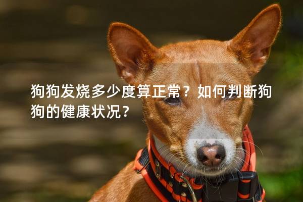 狗狗发烧多少度算正常？如何判断狗狗的健康状况？