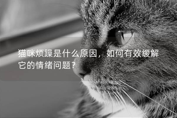 猫咪烦躁是什么原因，如何有效缓解它的情绪问题？