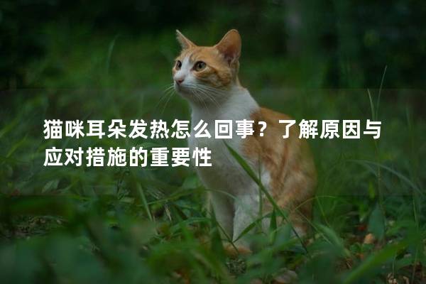 猫咪耳朵发热怎么回事？了解原因与应对措施的重要性