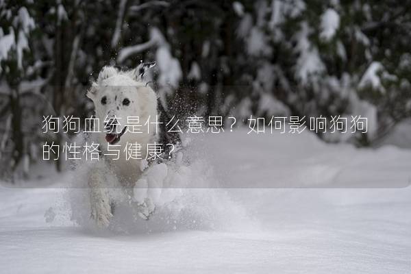 狗狗血统是什么意思？如何影响狗狗的性格与健康？