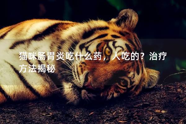 猫咪肠胃炎吃什么药，人吃的？治疗方法揭秘