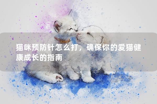 猫咪预防针怎么打，确保你的爱猫健康成长的指南