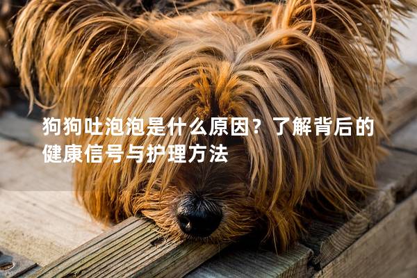 狗狗吐泡泡是什么原因？了解背后的健康信号与护理方法