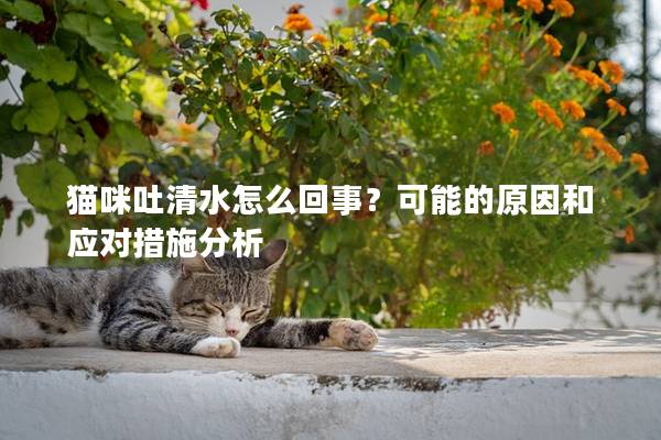 猫咪吐清水怎么回事？可能的原因和应对措施分析