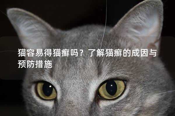 猫容易得猫癣吗？了解猫癣的成因与预防措施