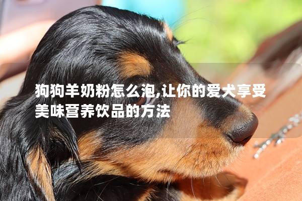 狗狗羊奶粉怎么泡,让你的爱犬享受美味营养饮品的方法