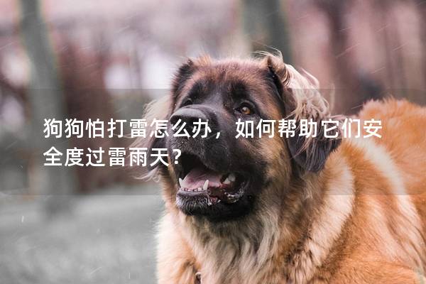 狗狗怕打雷怎么办，如何帮助它们安全度过雷雨天？