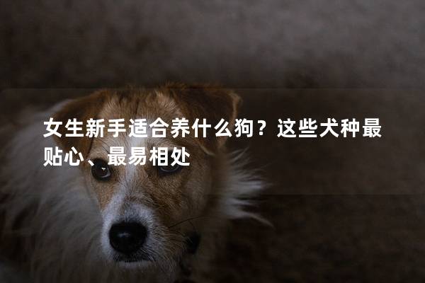 女生新手适合养什么狗？这些犬种最贴心、最易相处