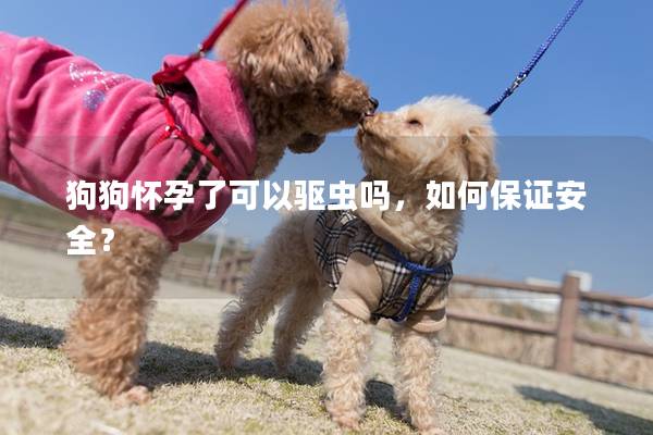 狗狗怀孕了可以驱虫吗，如何保证安全？