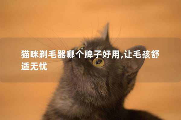 猫咪剃毛器哪个牌子好用,让毛孩舒适无忧