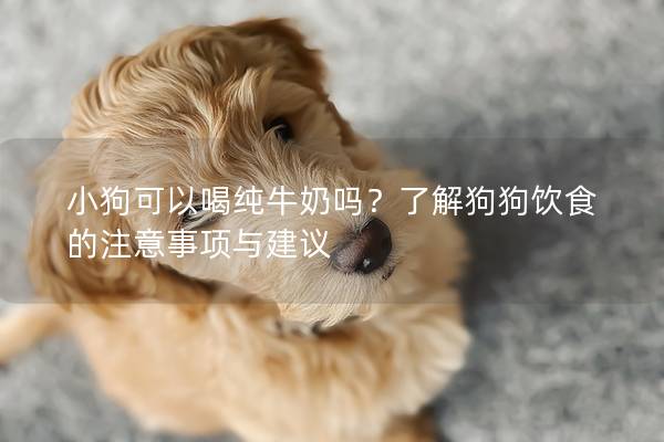 小狗可以喝纯牛奶吗？了解狗狗饮食的注意事项与建议