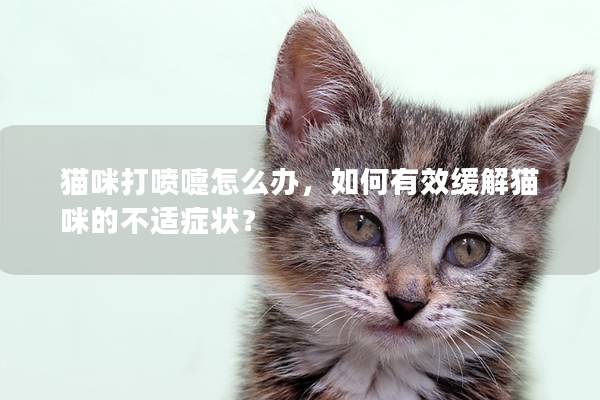 猫咪打喷嚏怎么办，如何有效缓解猫咪的不适症状？