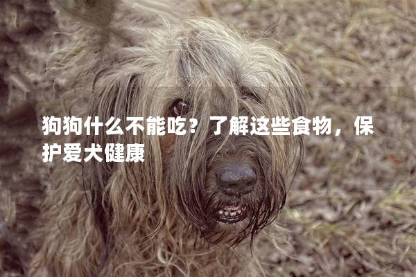 狗狗什么不能吃？了解这些食物，保护爱犬健康