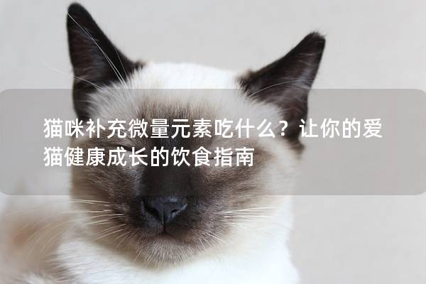 猫咪补充微量元素吃什么？让你的爱猫健康成长的饮食指南