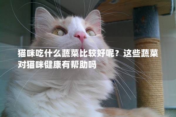 猫咪吃什么蔬菜比较好呢？这些蔬菜对猫咪健康有帮助吗