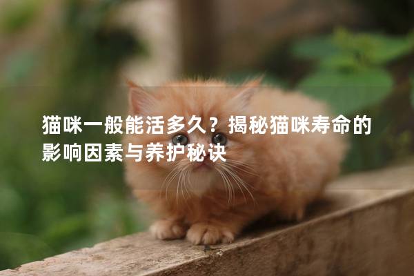 猫咪一般能活多久？揭秘猫咪寿命的影响因素与养护秘诀