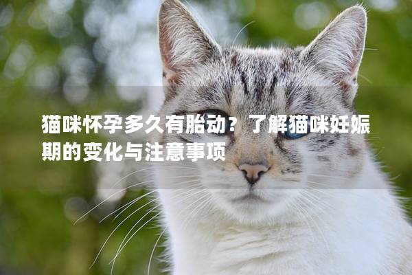 猫咪怀孕多久有胎动？了解猫咪妊娠期的变化与注意事项