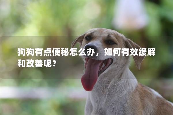 狗狗有点便秘怎么办，如何有效缓解和改善呢？