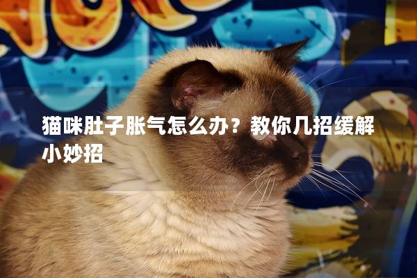 猫咪肚子胀气怎么办？教你几招缓解小妙招