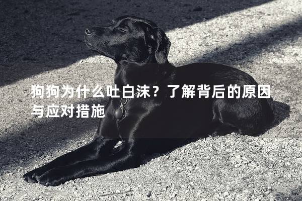 狗狗为什么吐白沫？了解背后的原因与应对措施