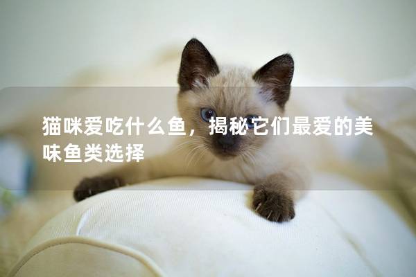 猫咪爱吃什么鱼，揭秘它们最爱的美味鱼类选择