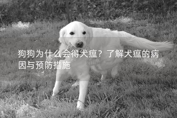 狗狗为什么会得犬瘟？了解犬瘟的病因与预防措施