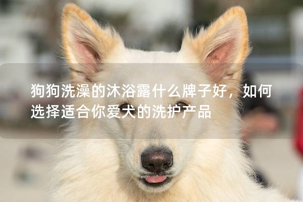 狗狗洗澡的沐浴露什么牌子好，如何选择适合你爱犬的洗护产品