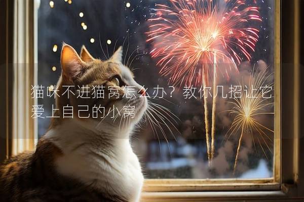 猫咪不进猫窝怎么办？教你几招让它爱上自己的小窝