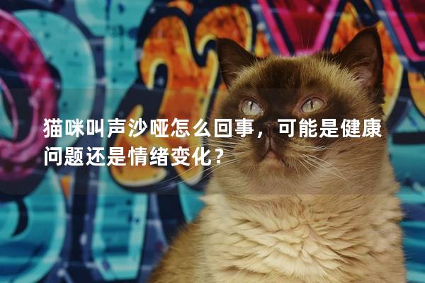 猫咪叫声沙哑怎么回事，可能是健康问题还是情绪变化？