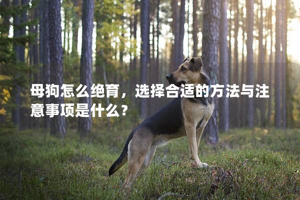 母狗怎么绝育，选择合适的方法与注意事项是什么？