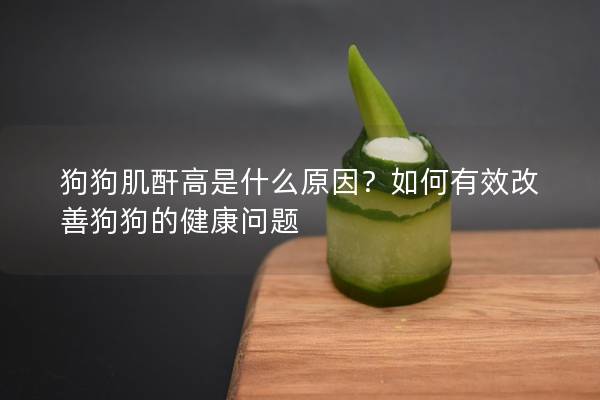 狗狗肌酐高是什么原因？如何有效改善狗狗的健康问题