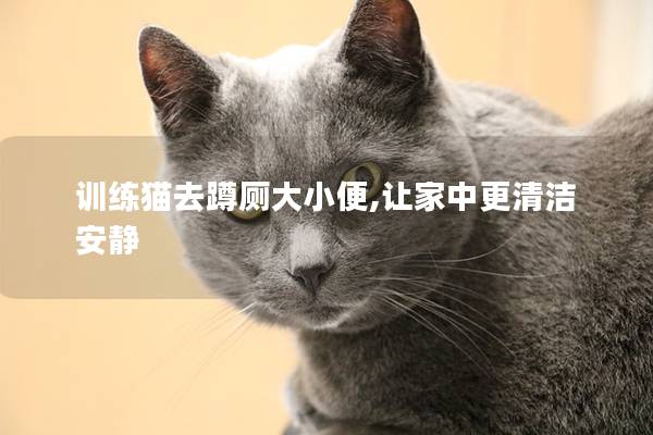 训练猫去蹲厕大小便,让家中更清洁安静