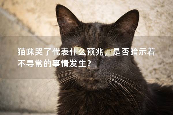 猫咪哭了代表什么预兆，是否暗示着不寻常的事情发生？