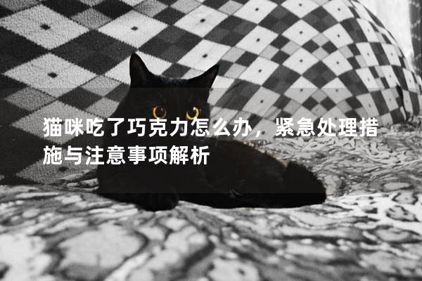 猫咪吃了巧克力怎么办，紧急处理措施与注意事项解析