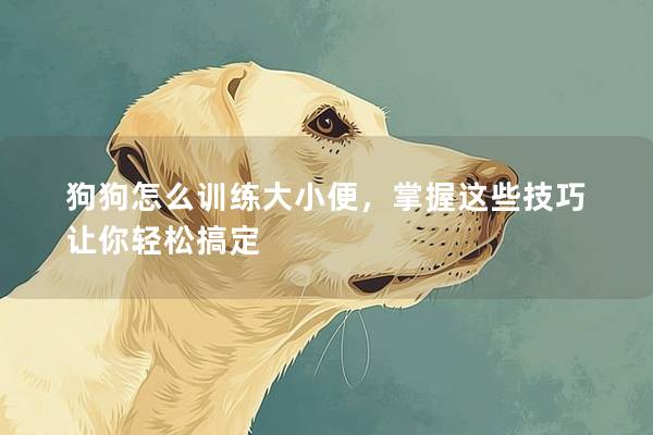 狗狗怎么训练大小便，掌握这些技巧让你轻松搞定