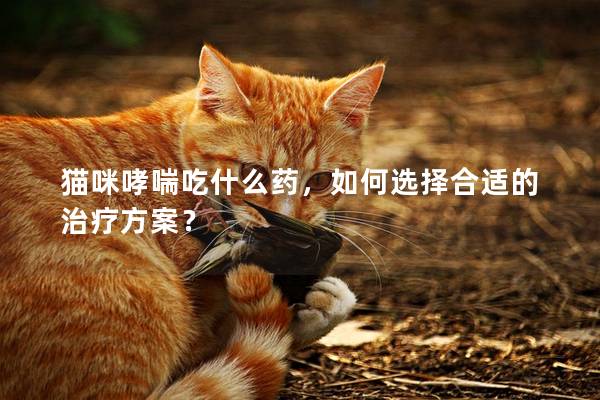 猫咪哮喘吃什么药，如何选择合适的治疗方案？