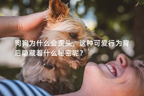 狗狗为什么会歪头，这种可爱行为背后隐藏着什么秘密呢？