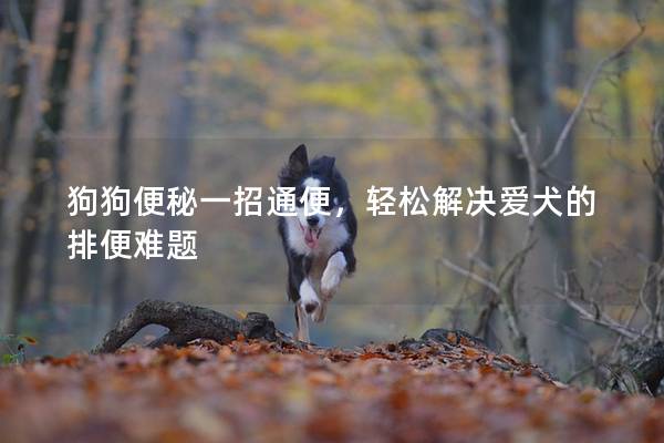 狗狗便秘一招通便，轻松解决爱犬的排便难题